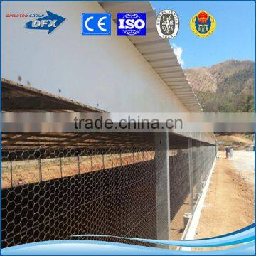 steel frame cage free egg farming building
