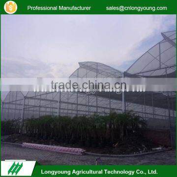 Wholesale custom sawtooth roof open plastic strawberry greenhouse film