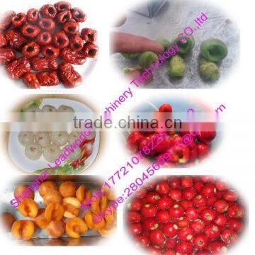 Hot Sale and High Efficiency Green Plum Pitting Machine photo-2
