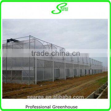 Multispan Tunnel Greenhouse for Strawberry Grape Raspberry , Agricultural Green Houses photo-2