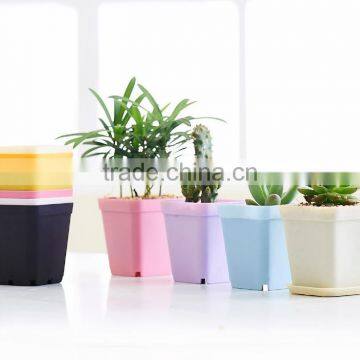 Plastic Colorful Small Square Flower Pots Without Pallet -3 Inch