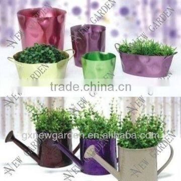 Beautiful colorful metal plant pots wholesale