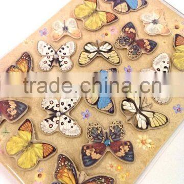 Lovely & Vivid Butterfly Sticker in Various Colors, Popular Scrapbooking Decorative Sticker photo-3
