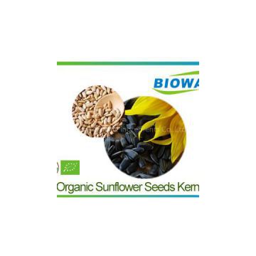 Organic Sunflower Seeds Kernels