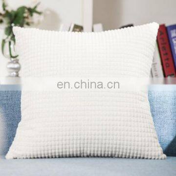 Home Decorative Cushion Cover Velvet Pillow Case Cover photo-7