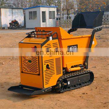 700mm Width Mini Track Dumper for Mining photo-4