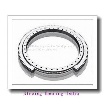 case excavator swing bearing