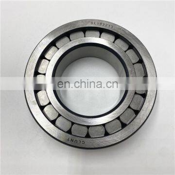 SL 18 2226 Cylindrical Roller Bearing SL182226 SL 182226 Bearing