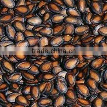 red watermelon seeds kernels for sale