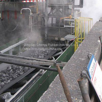Heat Resistant Conveyor Belt / EP Conveyor Belt/ Conveyor Belt photo-3