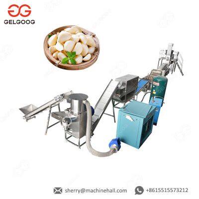 Industrial Garlic Peeling Machine Garlic And Ginger Paste Machine Price