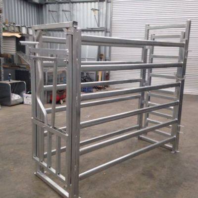 2025 New Mold Steel Tube Cattle Handling Crush photo-4