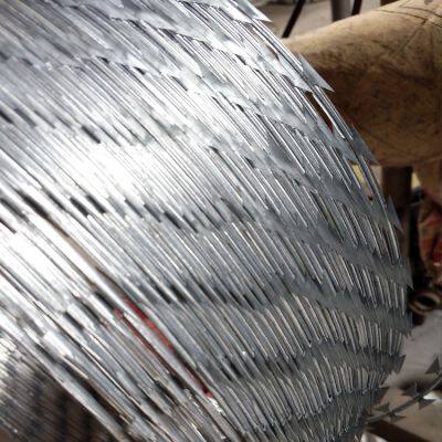 Razor Barbed Wire for Prison and High-Security Facilities - 60cm Blade Spacing photo-5