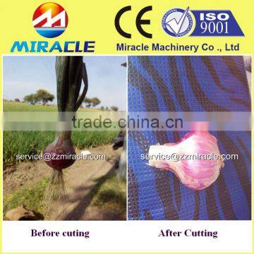 Hot Sale Professional Garlic Root and Leaf Cutting Machine/Root Cutter photo-4