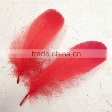 Wholesale Decorative Feather Seller for Goose Feather Price