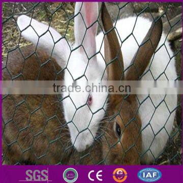 Galvanized chicken wire mesh for breeding animals from direct factory