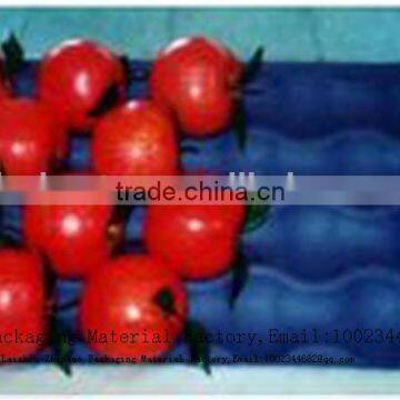 Gold Supplier Wholesale PP/PS/PET Fruit Packaging Tomato Tray Box photo-2