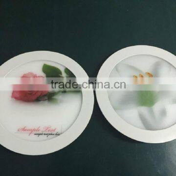 ceiling mounted panel light