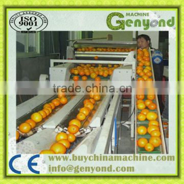 electronic fruit sorter