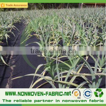 Agriculture PP Spunbond Non-woven/Nonwoven Fabric Weed Control photo-2