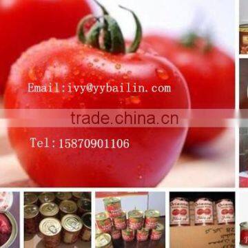 Sweet and sour 1000g*12tins canned tomato paste for Africa,Middle East