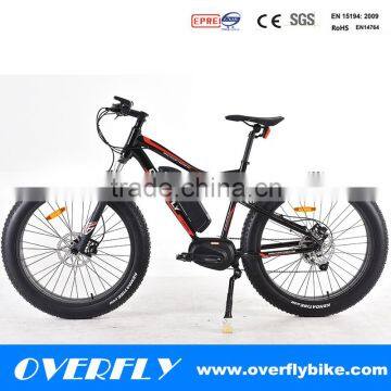ebike fat bicicletas mountain bike electrical bicycle