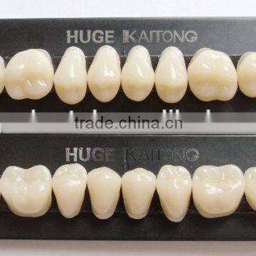 2 Layer polymer teeth KAITONG