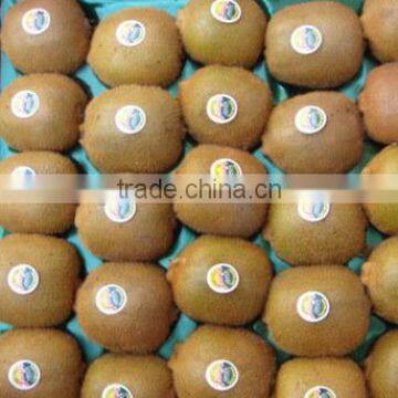 Fresh Qinmei Kiwi With Best Price for Sale