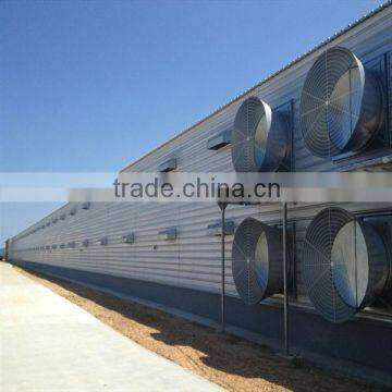 Turnkey project automatic steel structure poultry chicken farm building