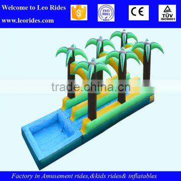 China Henan Inflatable Slide, Giant Inflatable Water Park Slide photo-2