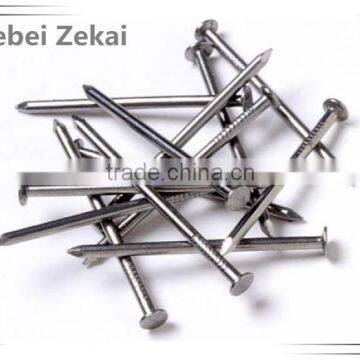 polished & galvanized common nail/wire nails to Doha