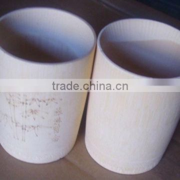 Green Source---Environmental Bamboo Water Cup