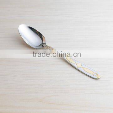 Golden Cutlery! Stainless China Flatware