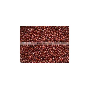 EU,NOP,JAS Certified Organic Adzuki Bean ( The best bean to make bean paste)