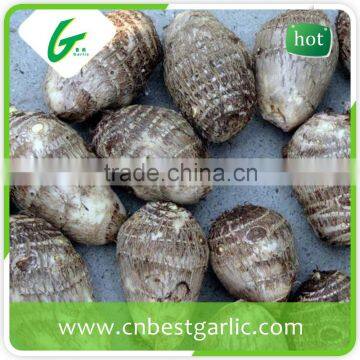 Chinese taro market price