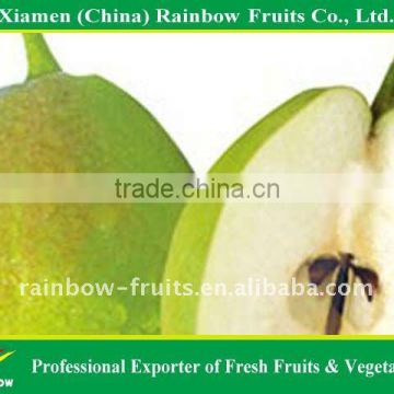 Xinjiang Korla Fragrant Pear