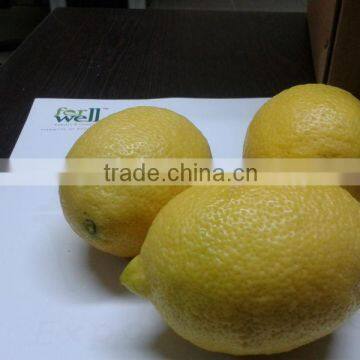 FRESH ADALIA LEMON