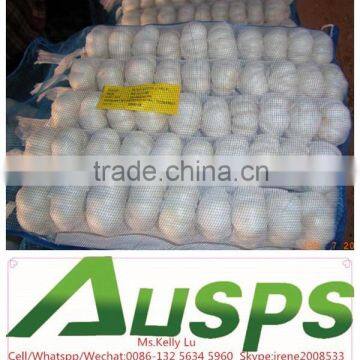 china natural 5cm garlic