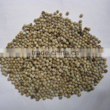 Vietnam High Quality White Pepper