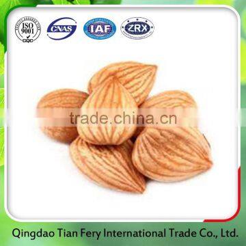 Good quality tasty sweet apricot kernels