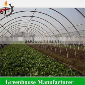 Simple Polytunnel Greenhouse photo-3