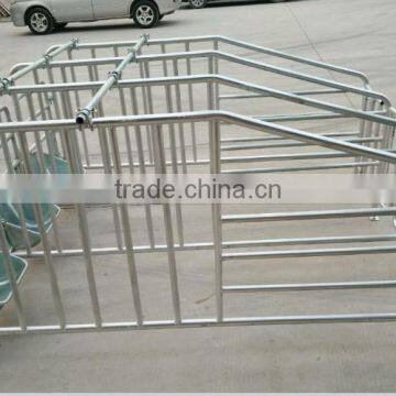 Sow limited crate/ Gestation/stall/pen for 3 sows or more sows
