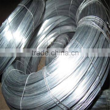 Factory Direct Electro Galvanized Iron Wire (soft and Competitive Price )/Galvainzed WIre photo-6