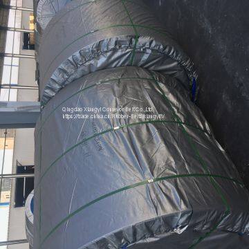 Elevator BeltBucket Elevator Belt photo-5