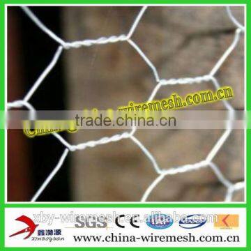 Poultry Netting/Galvanized Hexagonal Wire Mesh Factory