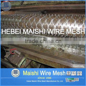 1.5" Hex Green PVC Coated Crab Trap Wire Mesh Rolls photo-4