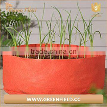 Home Garden Balcony Garden Pots of Organic Vegetables Planting Large Garden Pots photo-4