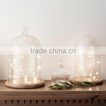 Button Battery Operated Fairy Lights With 20 Micro Warm White LEDs on Copper Wire photo-2