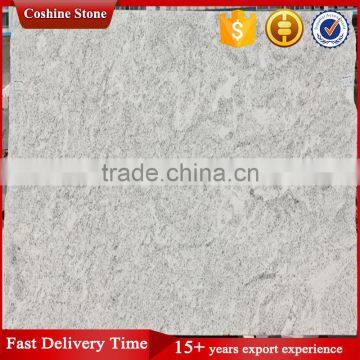 Plateau Snow Granite White Slab With Black Lines photo-3