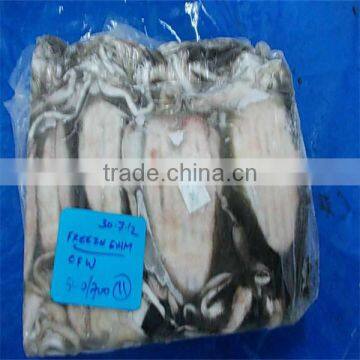 new season fresh frozen squid